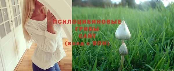 сатива Баксан