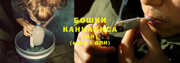 сатива Баксан