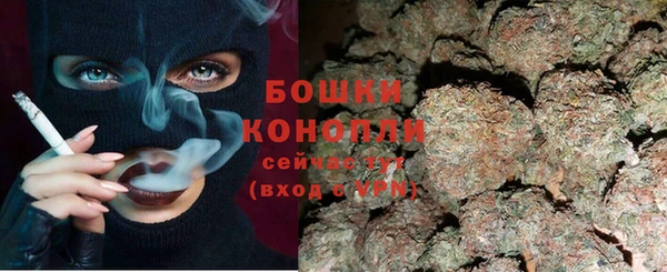 сатива Баксан