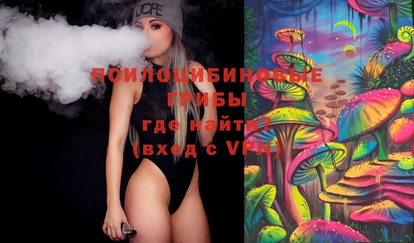 сатива Баксан